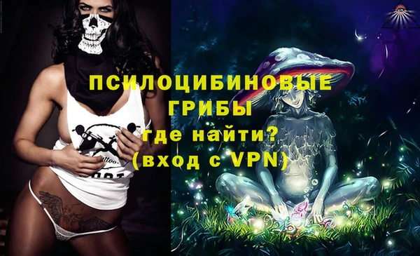 МДПВ Алзамай