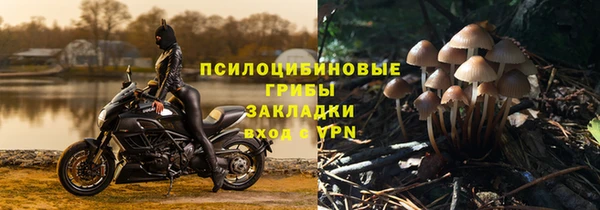 трава Алексин