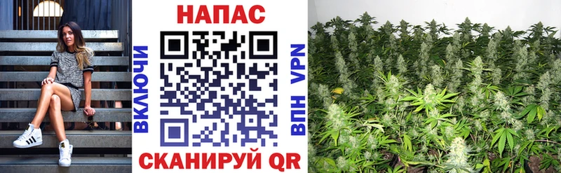 Бошки марихуана OG Kush  что такое   Красноуральск 
